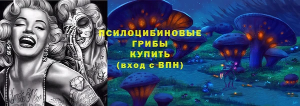 первитин Белокуриха