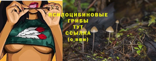 дживик Зуевка
