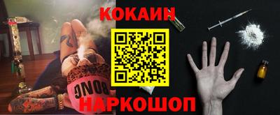 крисы Пенза