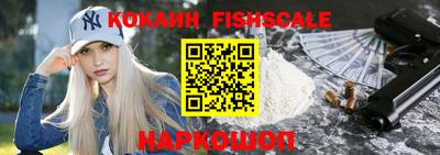 крисы Пенза