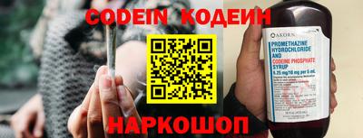 крисы Пенза