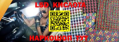 крисы Пенза