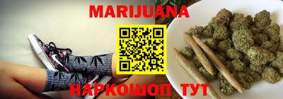 крисы Пенза