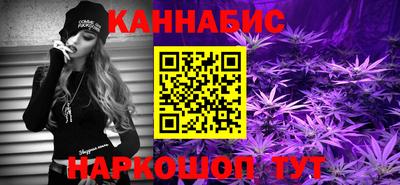 крисы Пенза