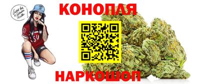 крисы Пенза