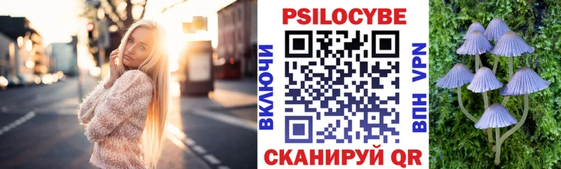 Галлюциногенные грибы Psilocybe  Буйнакск 