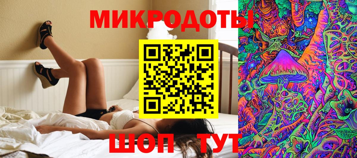 Галлюциногенные грибы Psilocybe Буйнакск