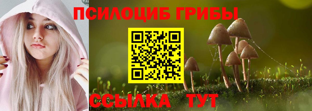 Псилоцибиновые грибы Psilocybe  Псилоцибиновые грибы мицелий  Вход с VPN  Буйнакск 